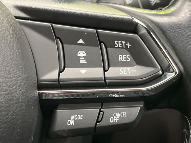 �y�}�c�_�E���[�_�[�N���[�Y�R���g���[���z�������H�ł̒��������s���y��!�����ő��x��ۂN���[�Y�R���g���[�����A�Փˌy���V�X�e���ƘA�g���A�O���̎ԗ������m���ĎԊԂ�ۂ悤�ɑ��x���߂��Ă���܂�!!