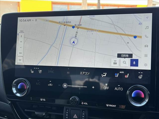 NX250 バージョンL