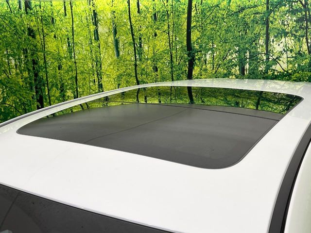 �y�T�����[�t�z�J���������Ղ�̊󏭑����A�T�����[�t����������Ă��܂�!�ԓ��ɖ�����������ꂽ��i�F���y���ވȊO�ɂ��A�ԓ��̋�C���ȒP�Ɋ��C�ł��ĉ��K�ł�!