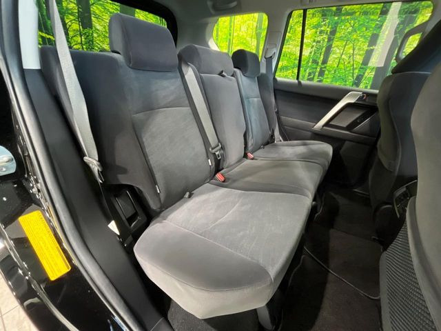 �㕔���Ȃ��C�ɂȂ�悤�ȃL�Y�E�����ւ��蓙�A�傫�ȃ_���[�W�͂Ȃ��A�ǍD�ȏ�Ԃł��B