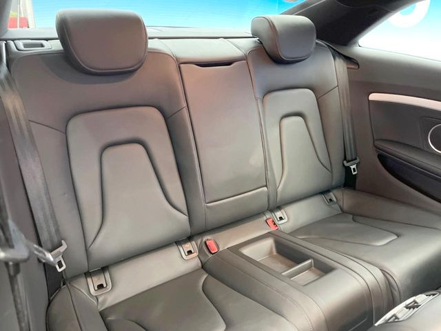 ���㕔���Ȃ��C�ɂȂ�悤�ȃL�Y�E�����ւ��蓙�A�傫�ȃ_���[�W�͂Ȃ��A�ǍD�ȏ�Ԃł��B