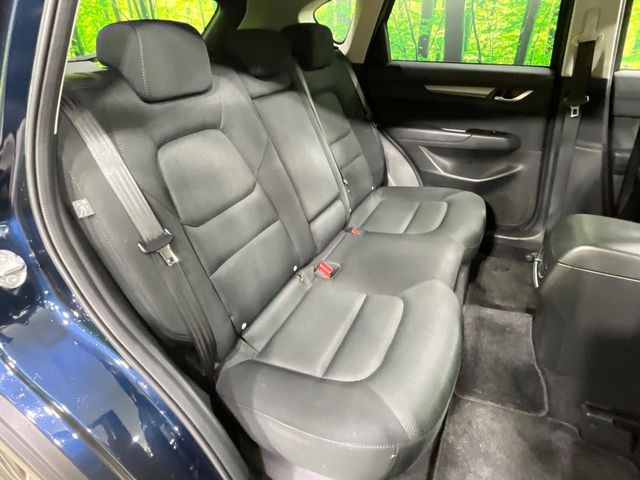 �㕔���Ȃ��C�ɂȂ�悤�ȃL�Y�E�����ւ��蓙�A�傫�ȃ_���[�W�͂Ȃ��A�ǍD�ȏ�Ԃł��B