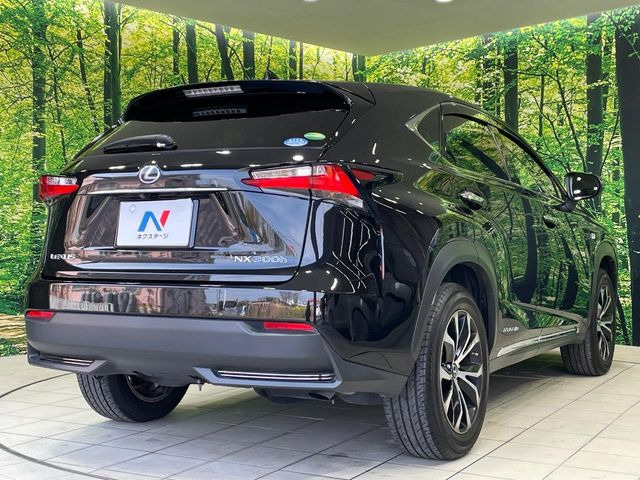 ���S���̃l�N�X�e�[�W���炨���񂹂��\��!�����̓X�܂ɓW�����Ă���N���}���C�ɂȂ�ꍇ���A�Ŋ��̓X�܂ł��������������Ƃ��\�ł�!���񎄂����ɗv�]������������������!���ʓr��p