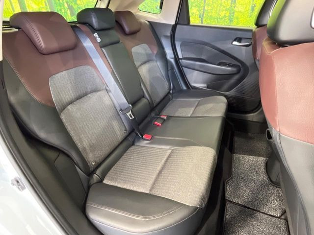 �㕔���Ȃ��C�ɂȂ�悤�ȃL�Y�E�����ւ��蓙�A�傫�ȃ_���[�W�͂Ȃ��A�ǍD�ȏ�Ԃł��B