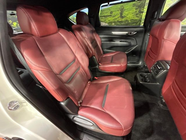 �㕔���Ȃ��C�ɂȂ�悤�ȃL�Y�E�����ւ��蓙�A�傫�ȃ_���[�W�͂Ȃ��A�ǍD�ȏ�Ԃł��B