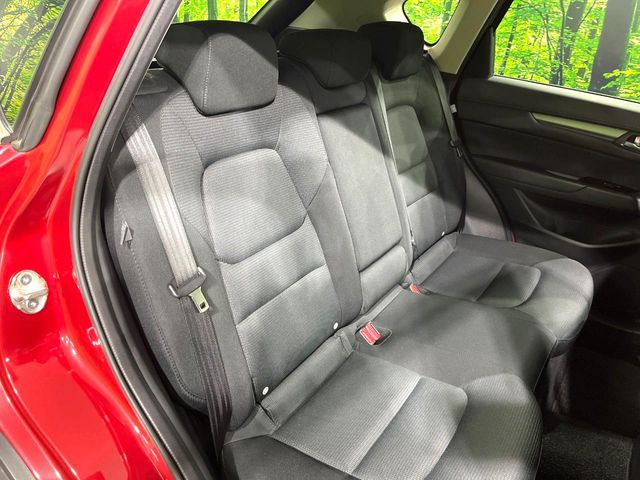 �㕔���Ȃ��C�ɂȂ�悤�ȃL�Y�E�����ւ��蓙�A�傫�ȃ_���[�W�͂Ȃ��A�ǍD�ȏ�Ԃł��B