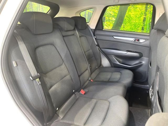 �㕔���Ȃ��C�ɂȂ�悤�ȃL�Y�E�����ւ��蓙�A�傫�ȃ_���[�W�͂Ȃ��A�ǍD�ȏ�Ԃł��B