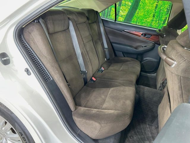 �㕔���Ȃ��C�ɂȂ�悤�ȃL�Y�E�����ւ��蓙�A�傫�ȃ_���[�W�͂Ȃ��A�ǍD�ȏ�Ԃł��B