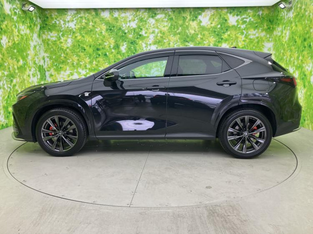 NX350h Fスポーツ