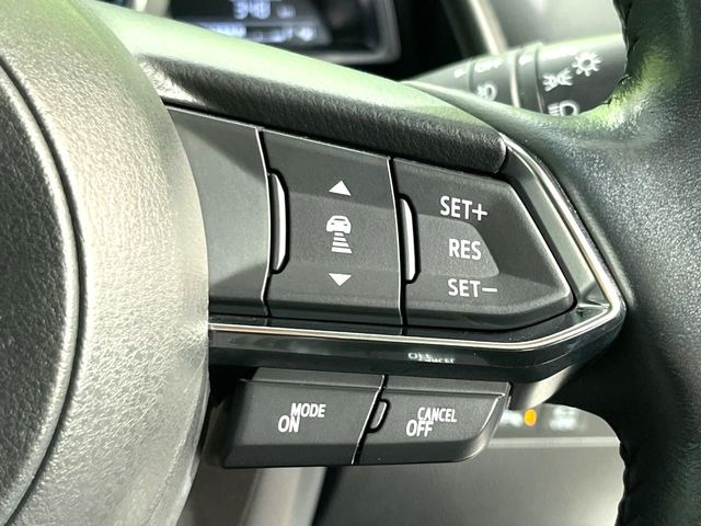 �y�}�c�_�E���[�_�[�N���[�Y�R���g���[���z�������H�ł̒��������s���y��!�����ő��x��ۂN���[�Y�R���g���[�����A�Փˌy���V�X�e���ƘA�g���A�O���̎ԗ������m���ĎԊԂ�ۂ悤�ɑ��x���߂��Ă���܂�!!