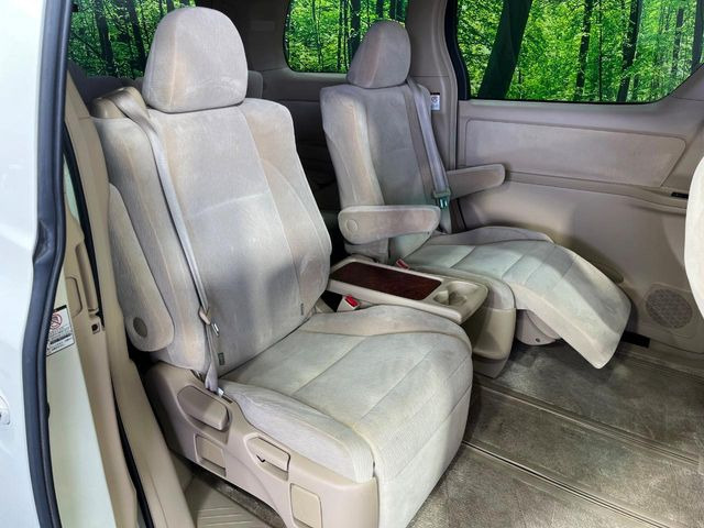 �㕔���Ȃ��C�ɂȂ�悤�ȃL�Y�E�����ւ��蓙�A�傫�ȃ_���[�W�͂Ȃ��A�ǍD�ȏ�Ԃł��B