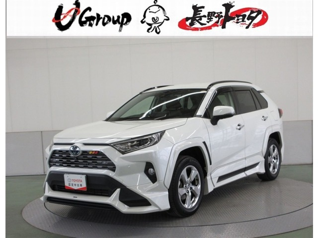 RAV42.5 ハイブリッド G E-Four 4WD