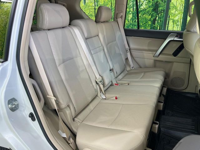 �㕔���Ȃ��C�ɂȂ�悤�ȃL�Y�E�����ւ��蓙�A�傫�ȃ_���[�W�͂Ȃ��A�ǍD�ȏ�Ԃł��B