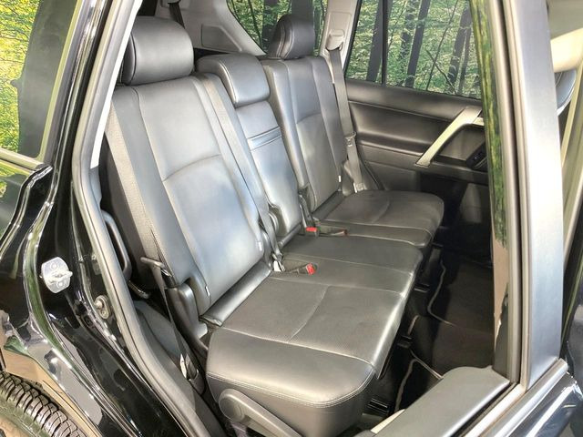 �㕔���Ȃ��C�ɂȂ�悤�ȃL�Y�E�����ւ��蓙�A�傫�ȃ_���[�W�͂Ȃ��A�ǍD�ȏ�Ԃł��B