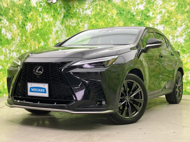 NX350h Fスポーツ
