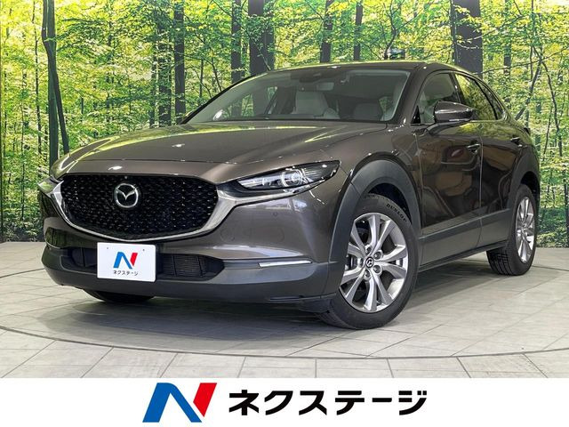 CX-30（マツダ）2.0 20S プロアクティブ ツーリングセレクション 中古車画像