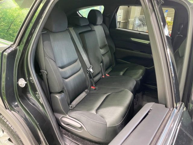 �㕔���Ȃ��C�ɂȂ�悤�ȃL�Y�E�����ւ��蓙�A�傫�ȃ_���[�W�͂Ȃ��A�ǍD�ȏ�Ԃł��B