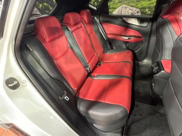 �㕔���Ȃ��C�ɂȂ�悤�ȃL�Y�E�����ւ��蓙�A�傫�ȃ_���[�W�͂Ȃ��A�ǍD�ȏ�Ԃł��B