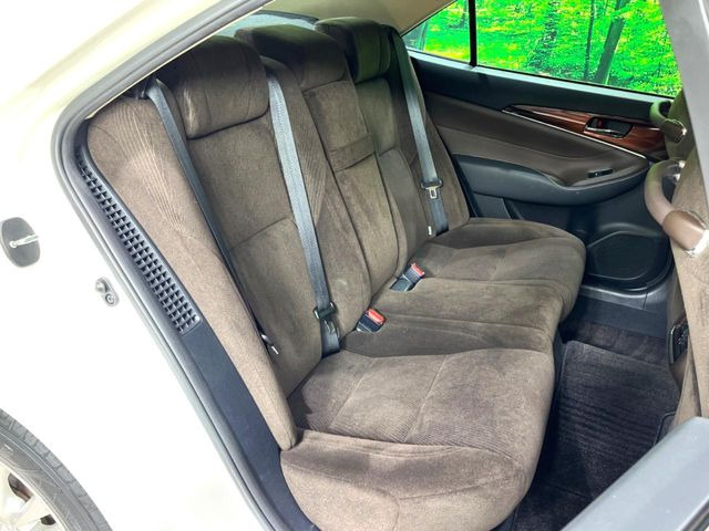 �㕔���Ȃ��C�ɂȂ�悤�ȃL�Y�E�����ւ��蓙�A�傫�ȃ_���[�W�͂Ȃ��A�ǍD�ȏ�Ԃł��B