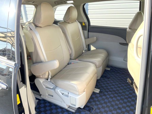 �㕔���Ȃ��C�ɂȂ�悤�ȃL�Y�E�����ւ��蓙�A�傫�ȃ_���[�W�͂Ȃ��A�ǍD�ȏ�Ԃł��B