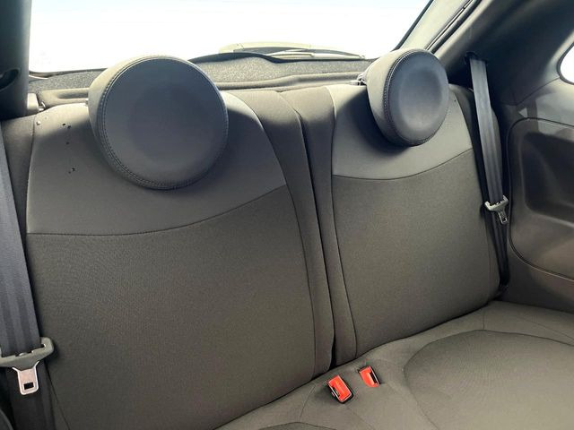 ���㕔���Ȃ��C�ɂȂ�悤�ȃL�Y�E�����ւ��蓙�A�傫�ȃ_���[�W�͂Ȃ��A�ǍD�ȏ�Ԃł��B