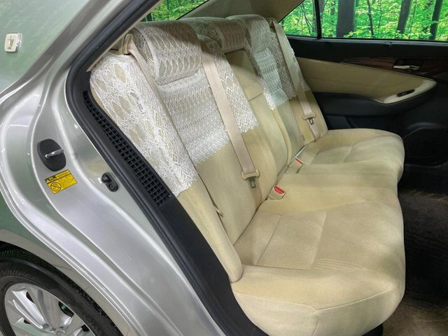 �㕔���Ȃ��C�ɂȂ�悤�ȃL�Y�E�����ւ��蓙�A�傫�ȃ_���[�W�͂Ȃ��A�ǍD�ȏ�Ԃł��B