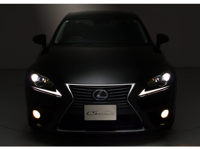 �t�����g�r���[�̑��݊���������������!!�w�b�h���C�g�͎��E�ǍD�̃��C�g�A����Ƀt�H�O���C�g���ځB�f�U�C�����������̂������ł��B