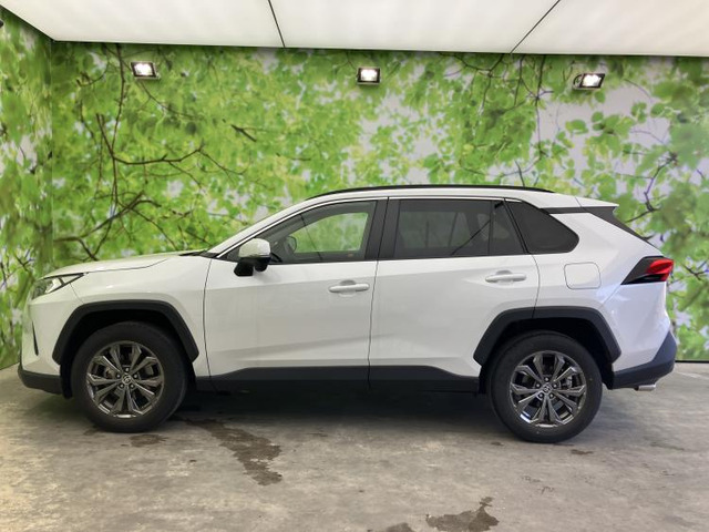 RAV42.0 X