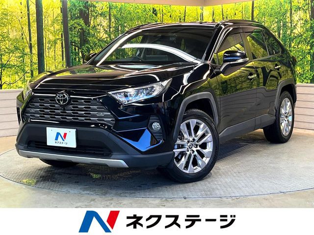 RAV42.0 G Zパッケージ 4WD