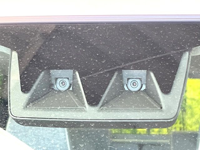 ムーヴキャンバスストライプス G