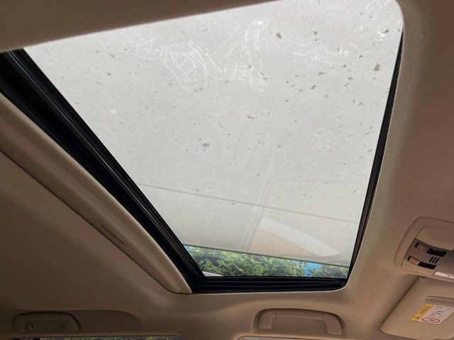 �y�T�����[�t�z�J���������Ղ�̊󏭑����A�T�����[�t����������Ă��܂�!�ԓ��ɖ�����������ꂽ��i�F���y���ވȊO�ɂ��A�ԓ��̋�C���ȒP�Ɋ��C�ł��ĉ��K�ł�!