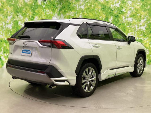 RAV42.0 G Zパッケージ 4WD