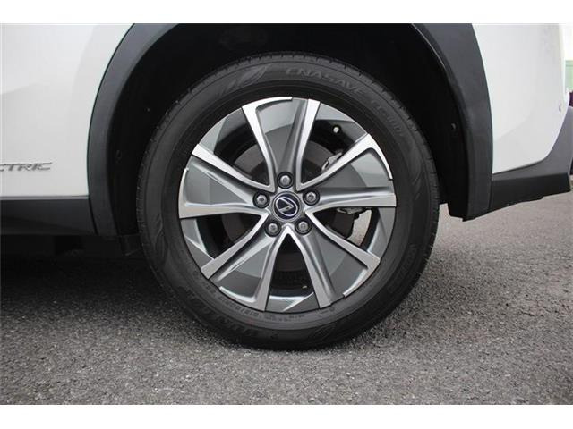 ���Ǝҗl�ւ̔̔��͂��f�肳���Ă��������܂��B �Ԍ������ԗ��̏ꍇ�́A�Ԍ����擾�������x�������z�ŕ\�����Ă���܂��B