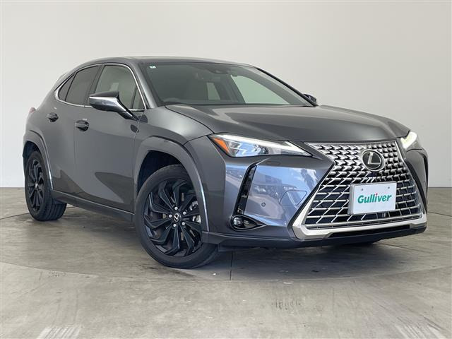 UX250h グレイスフル エクスプローラー