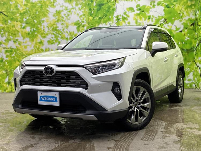 RAV42.0 G Zパッケージ 4WD