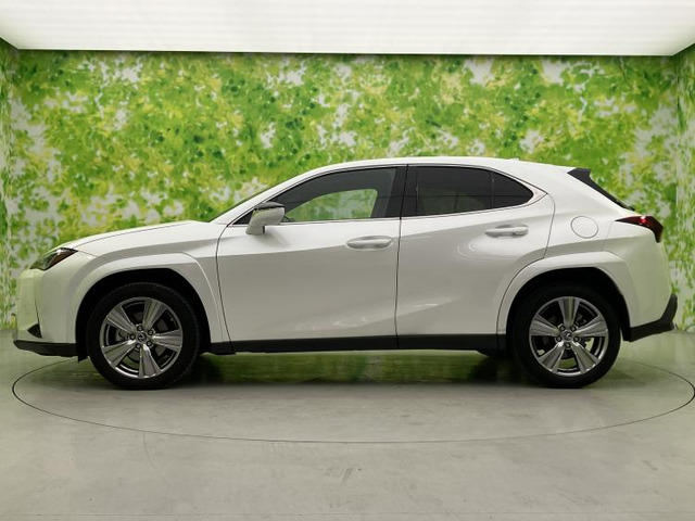 UX250h グレイスフル エクスプローラー