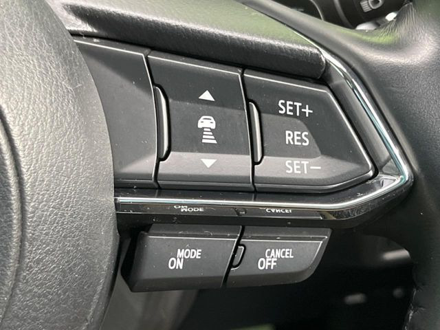 �y�}�c�_�E���[�_�[�N���[�Y�R���g���[���z�������H�ł̒��������s���y��!�����ő��x��ۂN���[�Y�R���g���[�����A�Փˌy���V�X�e���ƘA�g���A�O���̎ԗ������m���ĎԊԂ�ۂ悤�ɑ��x���߂��Ă���܂�!!