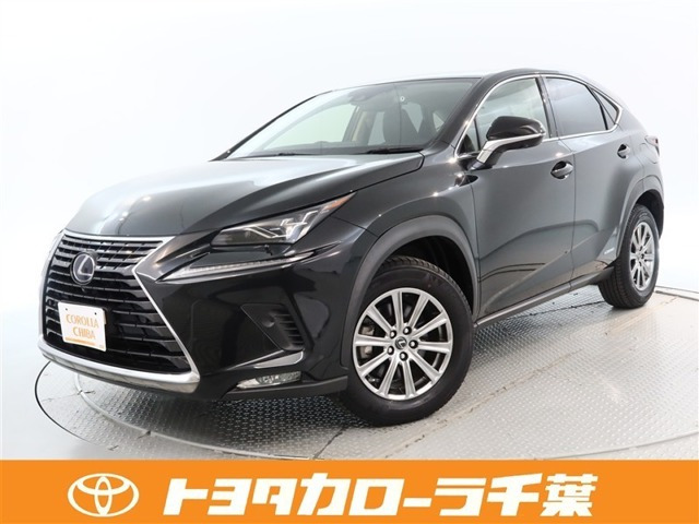 NX300h Iパッケージ