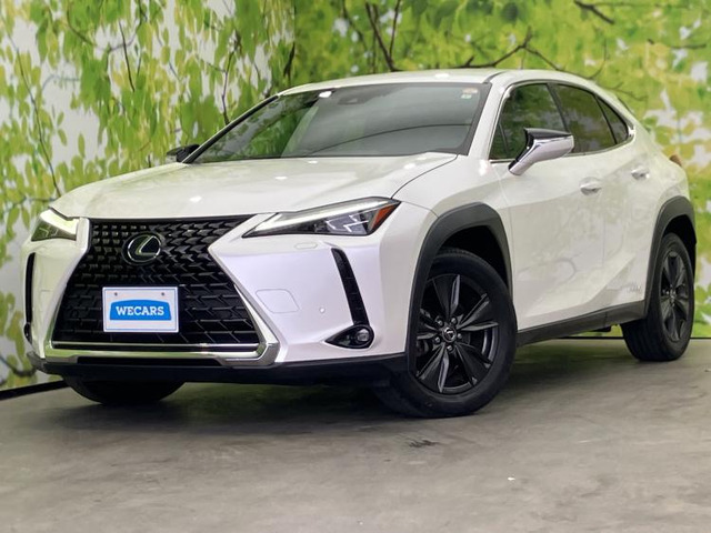 UX250h バージョンC