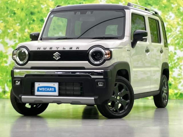 ハスラータフワイルド