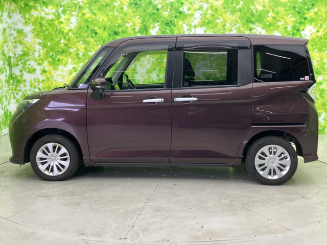 タンク1.0 G コージー エディション