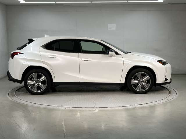 UX250h グレイスフル エクスプローラー