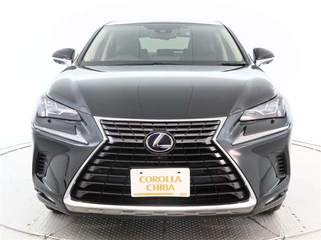 NX300h Iパッケージ