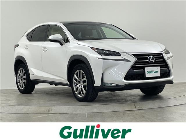 NX300h Iパッケージ