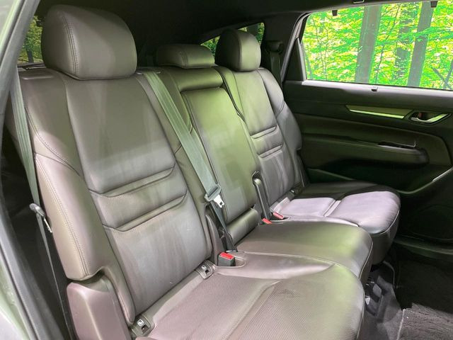 �㕔���Ȃ��C�ɂȂ�悤�ȃL�Y�E�����ւ��蓙�A�傫�ȃ_���[�W�͂Ȃ��A�ǍD�ȏ�Ԃł��B