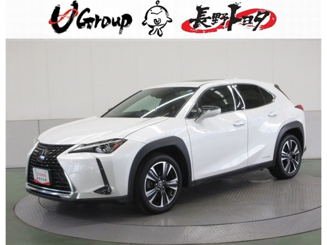 UX250h バージョンL 4WD
