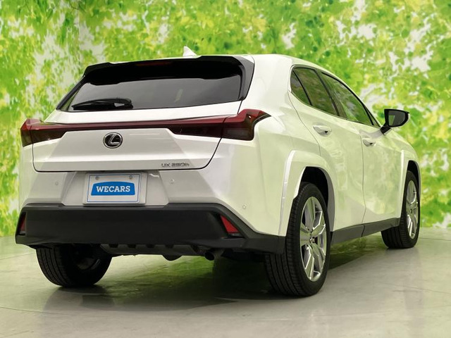 UX250h グレイスフル エクスプローラー