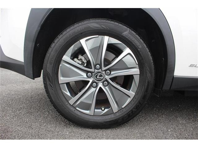 ���Ǝҗl�ւ̔̔��͂��f�肳���Ă��������܂��B �Ԍ������ԗ��̏ꍇ�́A�Ԍ����擾�������x�������z�ŕ\�����Ă���܂��B