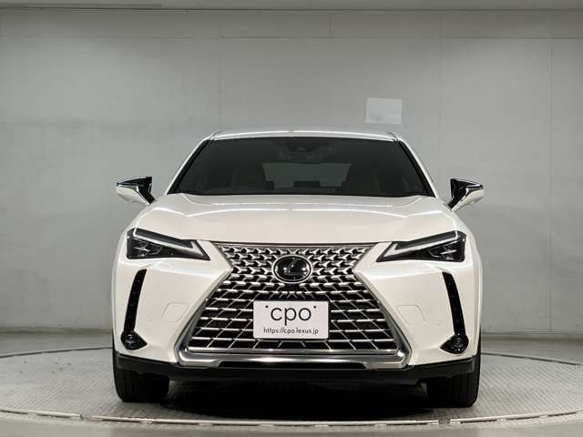 UX250h グレイスフル エクスプローラー