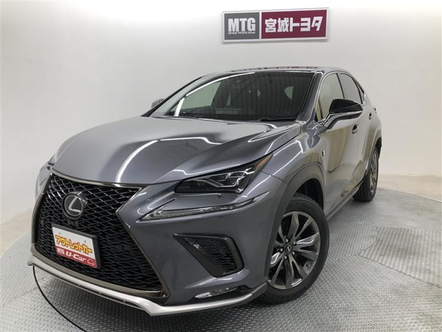 NX300 Fスポーツ 4WD